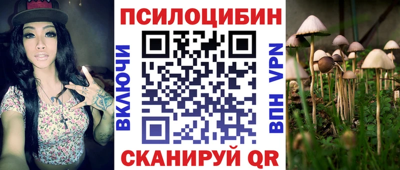 Галлюциногенные грибы Magic Shrooms  Сольвычегодск 